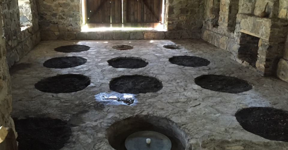 オクルスカイ 国際技術交流プロジェクト