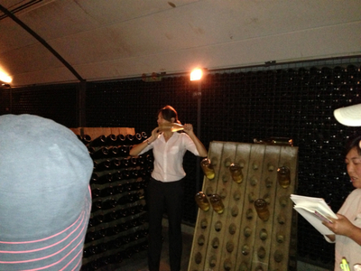 シャンドン１jpg