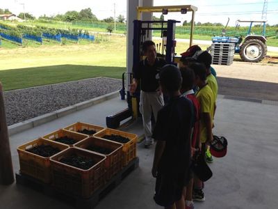 20130828能登ワイン見学.jpg