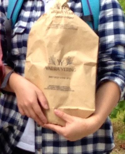 Yarra Yering（クラフト）１.jpg